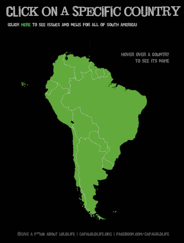 South America